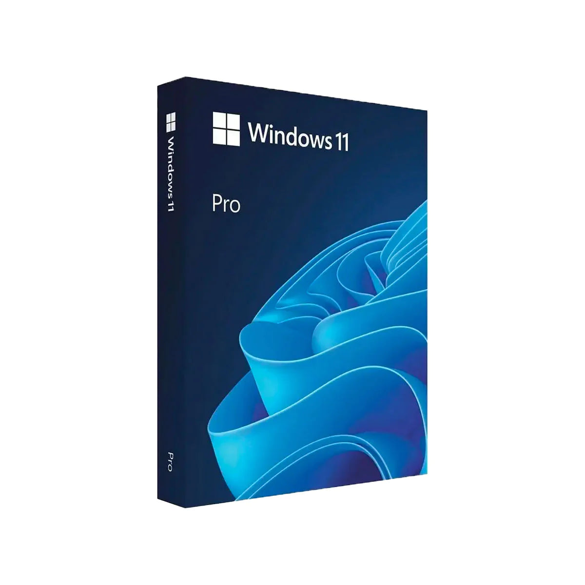 Windows 11 Professional 64 bit OEM